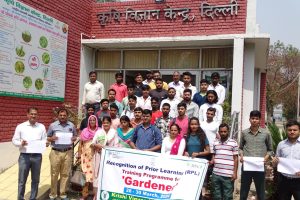 Gardener’s training programme at KVK