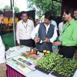 ATL-TEAM Interface at KVK