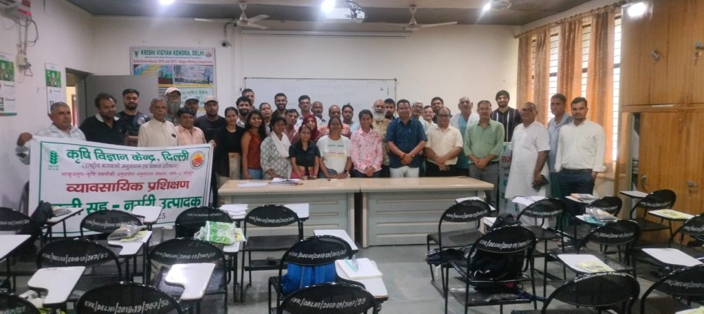 WhatsApp Image 2025-07-31 at 2.09.49 PM (1)