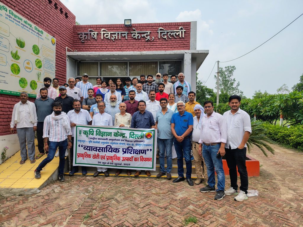 IMG_20250705_132257426_HDR_AE