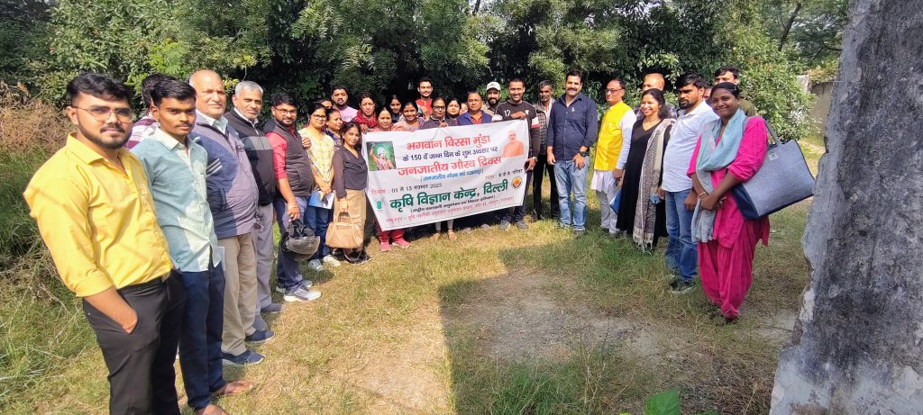 IMG_20251112_124046596_HDR_AE