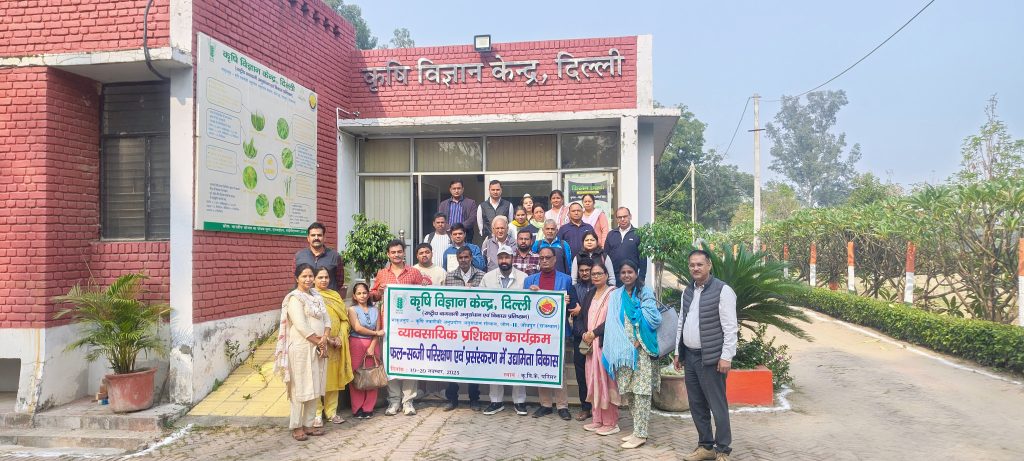 IMG_20251120_130845377_HDR_AE (1)