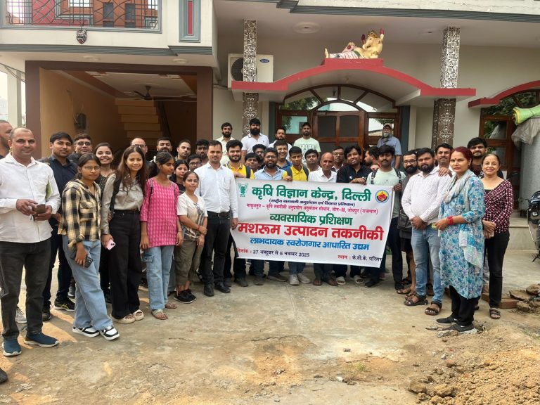 WhatsApp Image 2025-11-01 at 12.14.45_3467d6e9