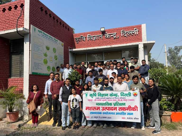 WhatsApp Image 2025-11-06 at 13.27.23_41370b38 (1)