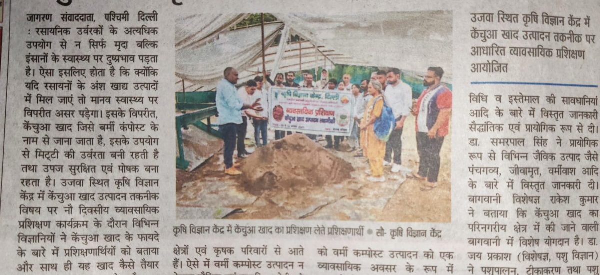 WhatsApp Image 2025-08-15 at 20.45.48