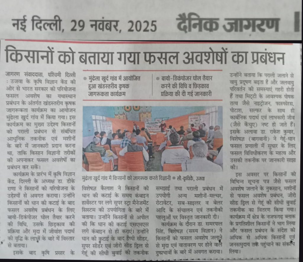 WhatsApp Image 2025-11-29 at 14.12.42