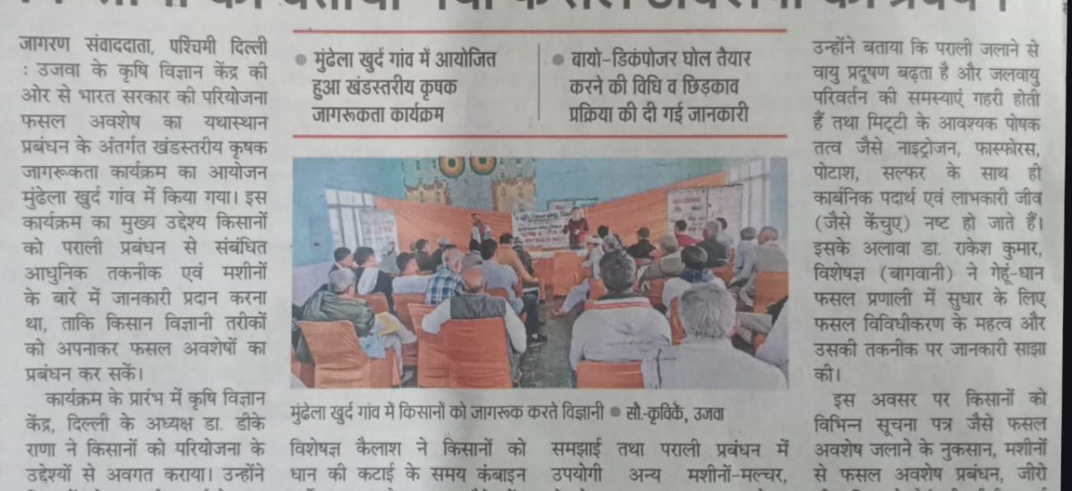 WhatsApp Image 2025-11-29 at 14.12.42