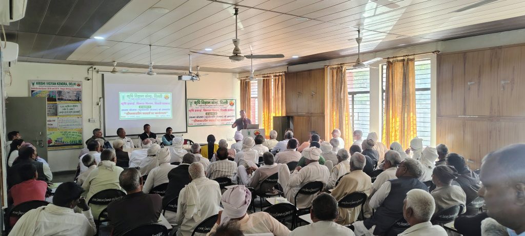 WhatsApp Image 2026-02-17 at 4.44.29 PM