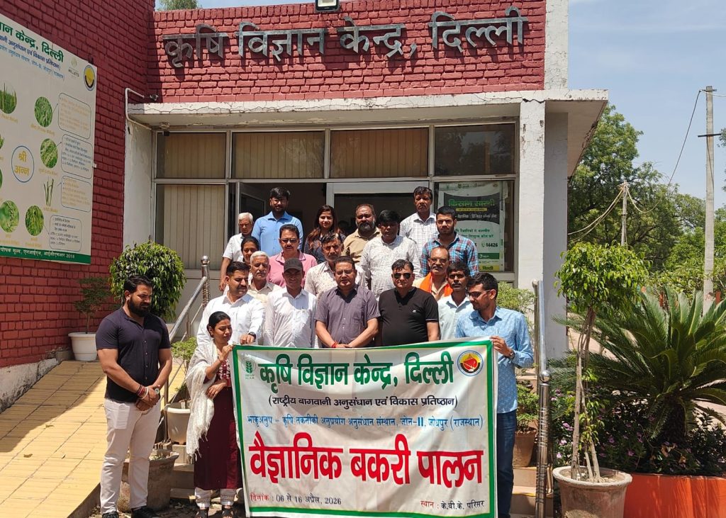 WhatsApp Image 2026-04-16 at 15.36.02 (1)