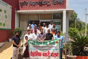 Scientific Goat Farming Training